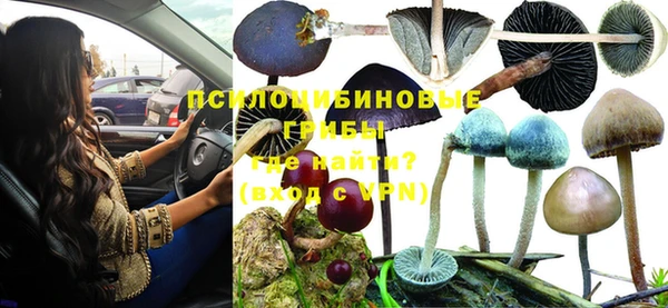 кокс Карпинск